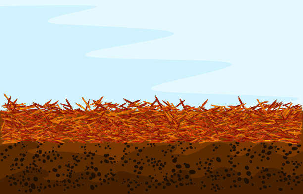 illustrations, cliparts, dessins animés et icônes de fond rouge de paillis avec l’espace de copie. paillis de couleur de conception de paysage. - dirt backgrounds humus soil textured