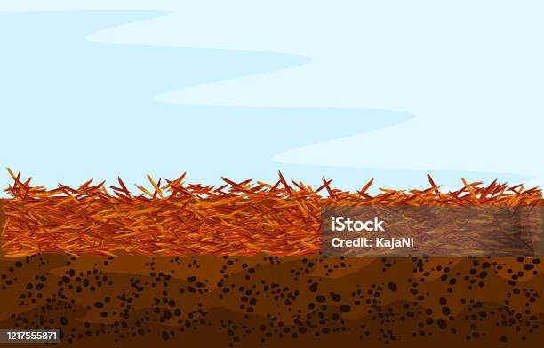 Red Mulch Background With Copy Space Landscape Design Color Mulch Stock Illustration - Download Image Now