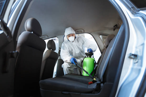 Rules of how to protect your life during coronavirus