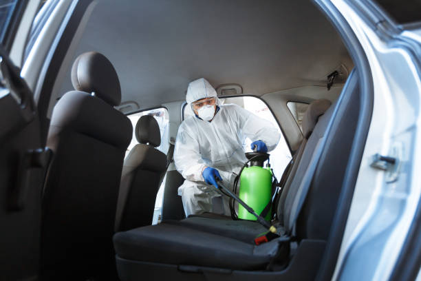 Rules of how to protect your life during coronavirus Rules of how to protect your life during coronavirus. Man in protective suit cleaning with chemicals his car, world pandemic, copy space infestation photos stock pictures, royalty-free photos & images