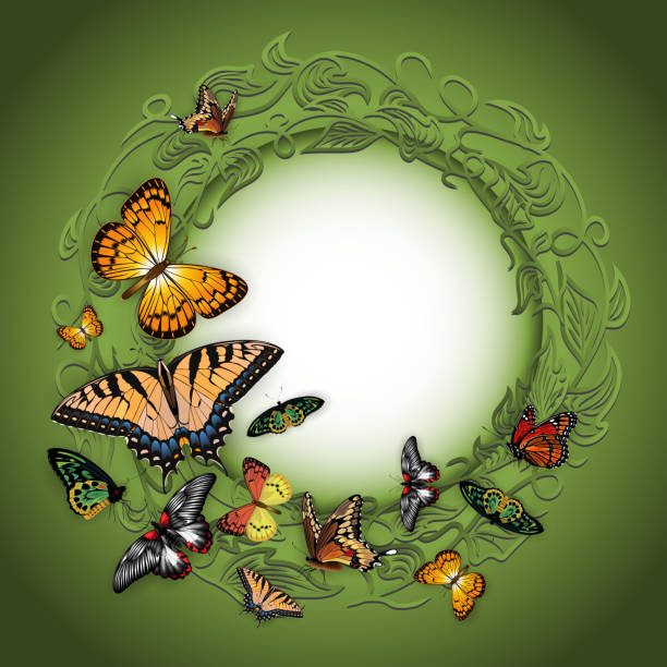 szablon karty kwiatowej - fritillary butterfly butterfly insect lepidoptera stock illustrations