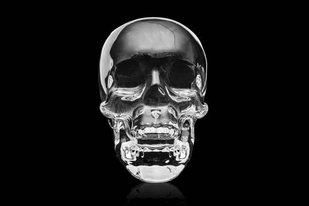 istock Crystal skull ancient South American artifact 1217556653