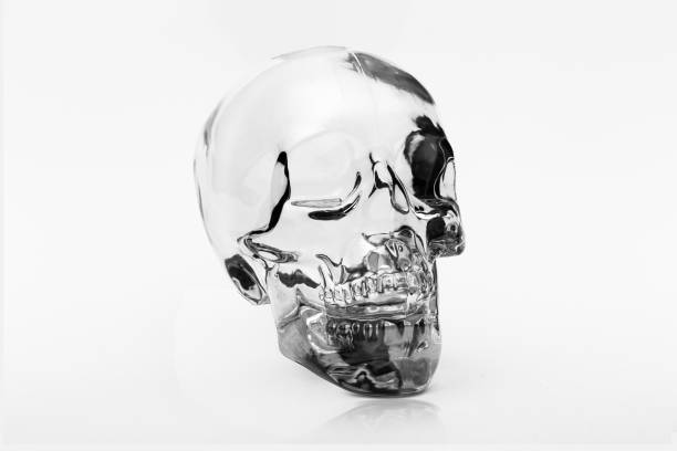 istock Crystal skull ancient South American artifact on white 1217556656