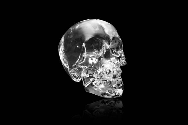 istock Crystal skull on black at angle ancient South American artifact 1217556669