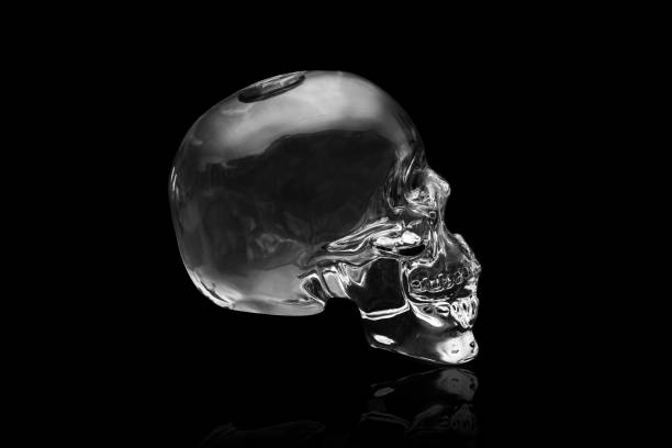 istock Crystal skull on black at side profile ancient South American artifact 1217556712