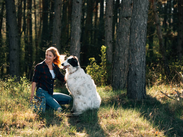 istock Woman in forest traveling with her dog 1217556880