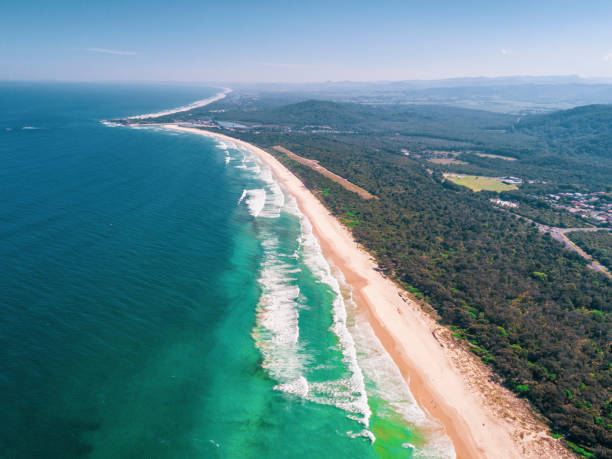 istock Cabarita Beach, Norries Head Australia 1217557938