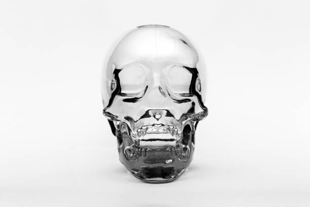 istock Crystal skull front on, ancient South American artifact on white background 1217557947