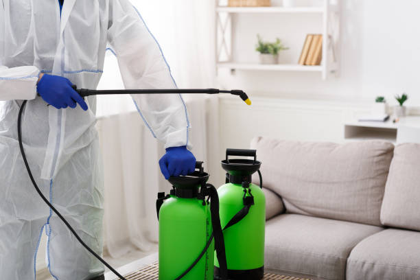 istock Virologist in hazmat suit disinfecting indoor accommodation 1217558460