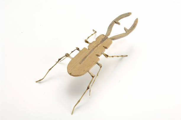 istock Taiwanese Rustic Childrens Toys 1217558752