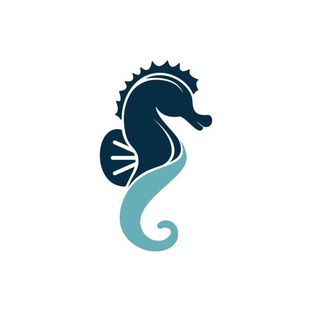 projekt logo wektora sea horse. - mammal hippocampus stock illustrations