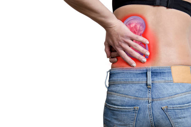 istock kidney pain and kidney stone 1217561141