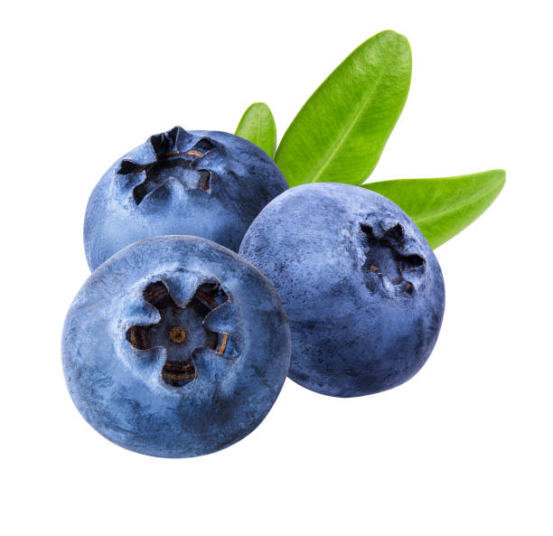 istock Blueberries with leaf isolated on white background with clipping path 1217561362