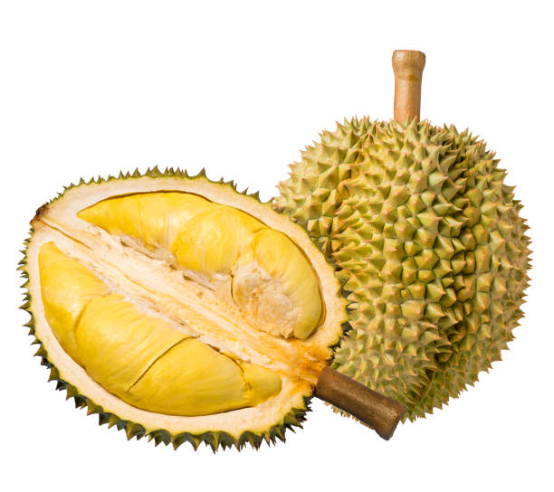 istock Durian isolated on white background, Durian isolated for packaging design (No shadow). 1217562289