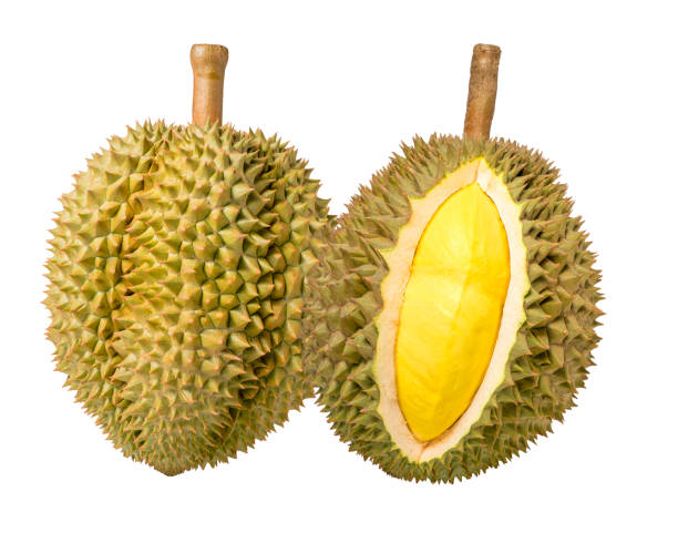 istock Durian isolated on white background, Durian isolated for packaging design (No shadow). 1217562293