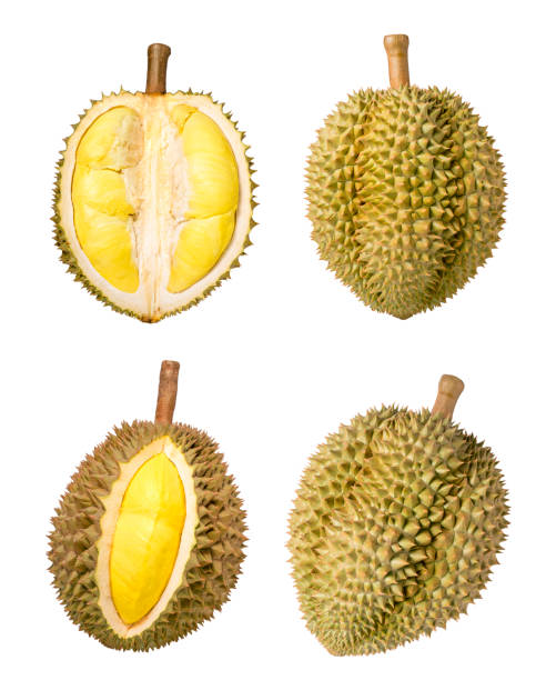 istock Durian isolated on white background, Durian isolated for packaging design (No shadow). 1217562295