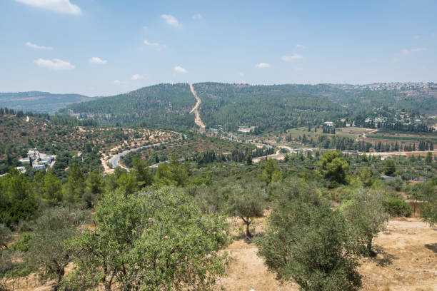 istock Visiting A Kerem in Jerusalem, Israel 1217564541
