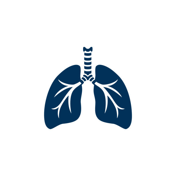 ilustrações de stock, clip art, desenhos animados e ícones de human lungs silhouette - respiratory system