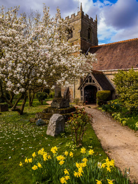 꽃 나무 봄 자연 나무 4 월 - beoley 교회 마당 우스터 셔 영국 영국 - beoley 뉴스 사진 이미지