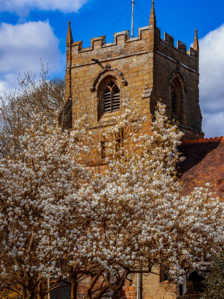 flor árvore primavera natureza árvore abril maio - beoley igreja igreja igreja worcestershire inglaterra reino unido - beoley - fotografias e filmes do acervo