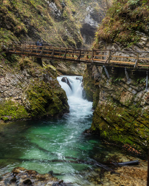 istock Small waterfall and emerald waters of Vintgar gorge 1217571293