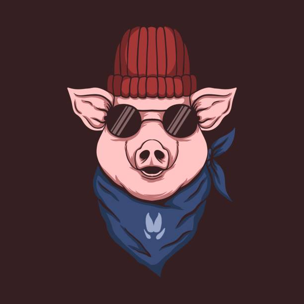 ilustrações de stock, clip art, desenhos animados e ícones de pig head bandana illustration - gangsta rap