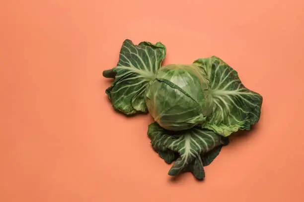 Fresh green cabbage on a colored orange background. Concept of healthy nutrition and vitamins. Flat lay with copy space. Horizontal orientation.