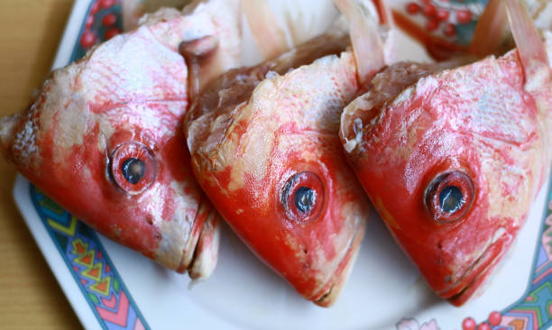 Red Snapper head Red Snapper head on plate. Ready to cook. snapper head stock pictures, royalty-free photos & images