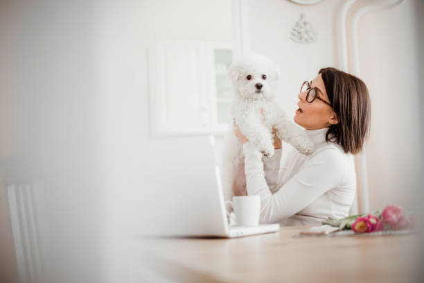 istock Young woman working from home and playing with her dog 1217574961