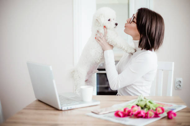 istock Young woman working from home and playing with her dog 1217575013