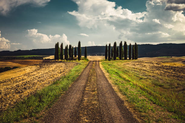 istock Italian countryside 1217575954