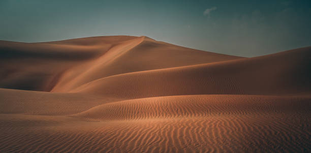 istock Liwa desert in Abu Dhabi 1217576192