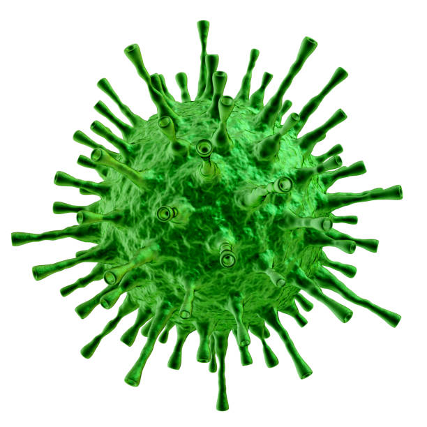 istock Detailed green virus cell structure or spore isolated on white 1217578675