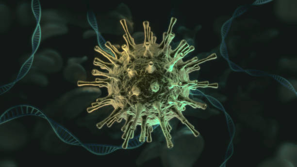 Single Coronavirus cell with DNA strands and white blood cells Single Coronavirus cell with DNA strands and white blood cells middle east respiratory syndrome stock pictures, royalty-free photos & images