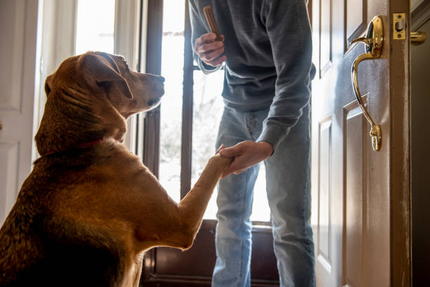 istock Family and pets. 1217579459