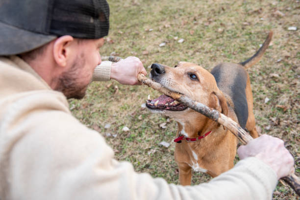 istock Family and pets. 1217579471