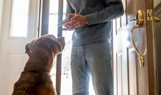 istock Family and pets. 1217579480
