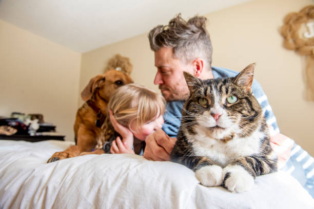 istock Family and pets. 1217579493