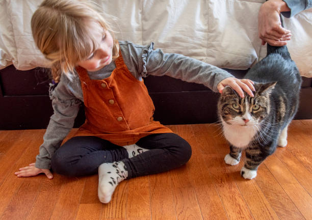 istock Family and pets. 1217579502