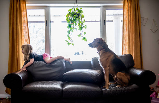 istock Family and pets. 1217579588