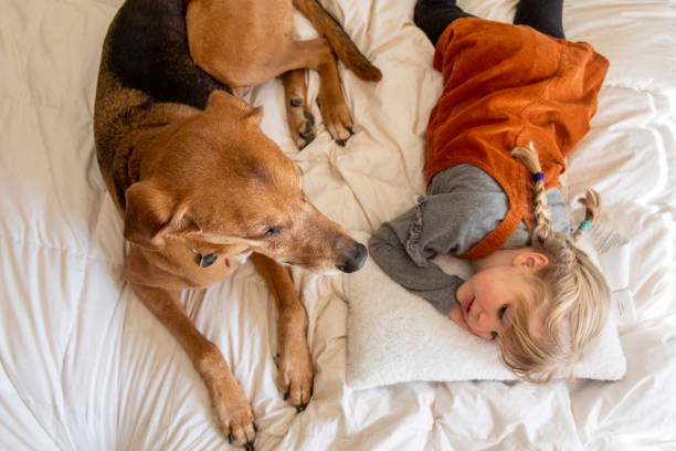 istock Family and pets. 1217579602