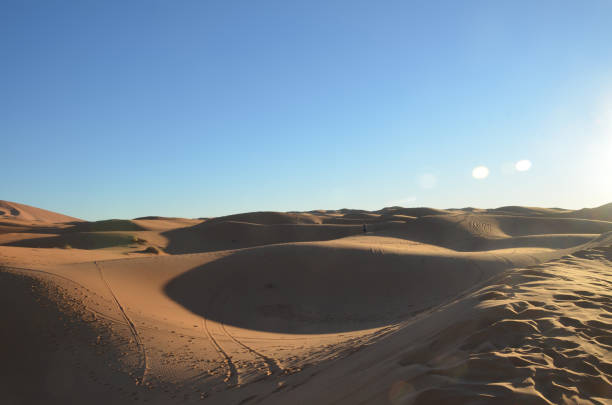 istock Footprints on the Merzouga dessert during hot aftenoon time. 1217579917