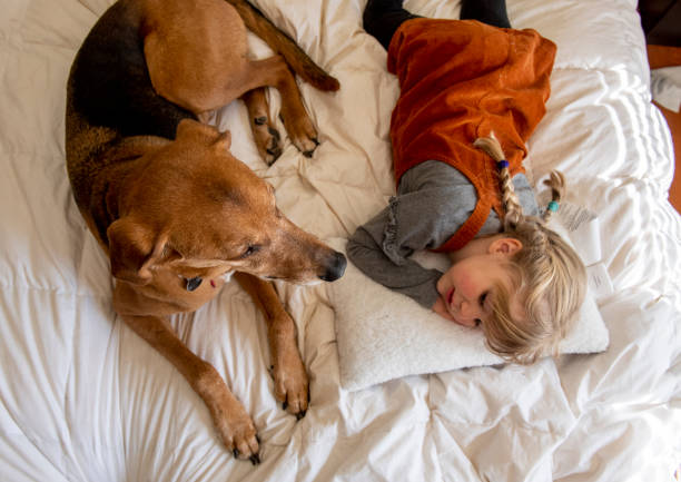 istock Family and pets. 1217580173
