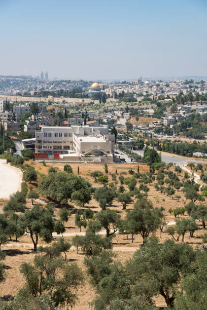 istock Tzurim Valley National Park in Jerusalem, Israel 1217580219