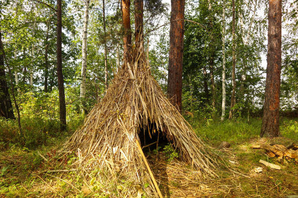 Survival hut or primitive house in wild nature. Natural sample of construction is shown on a sunny summer day.