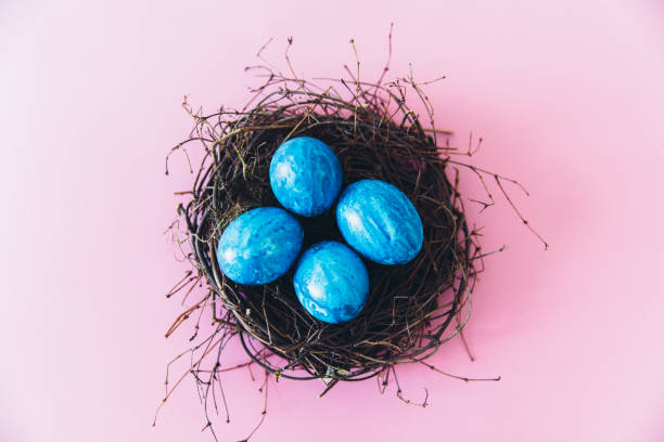 istock Easter eggs in bird nest on wood table - spring concept 1217584046