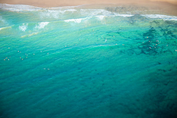 istock Bondi Beach, Sydney Australia by Helicopter 1217585668
