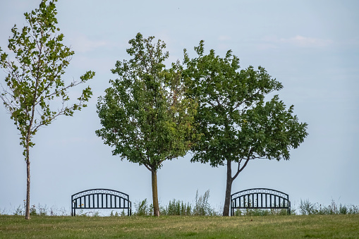 Park benches at a distance from each other along Lake Michigan