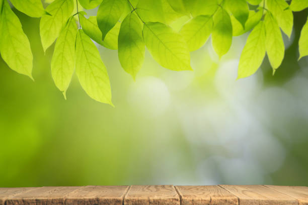 istock Empty wooden table with bokeh background and sun light for text ,Template mock up and display of product. green nature and ecology concept. 1217586193