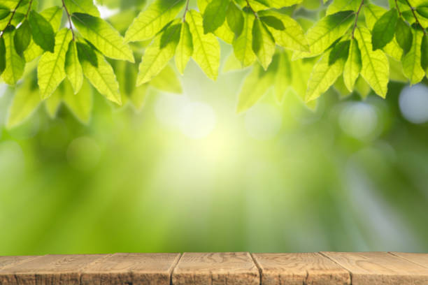 istock Empty wooden table with bokeh background and sun light for text ,Template mock up and display of product. green nature and ecology concept. 1217586209